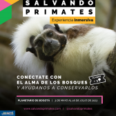 Pieza gráfica promocional – Tití Cabeciblanco