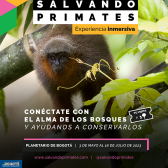 Pieza gráfica promocional – Tití del Caquetá