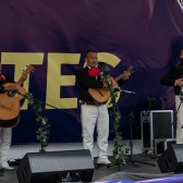 Serenatas a Bogotá