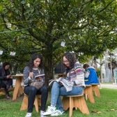 Pícnic Literario