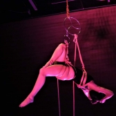 Artista en escena