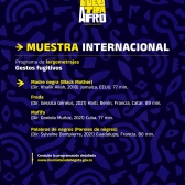 Pieza gráfica Muestra Internacional 