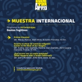Pieza gráfica Muestra Internacional 