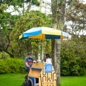 Lectura bajo los árboles 