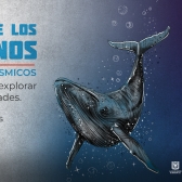 imagen para banner del evento