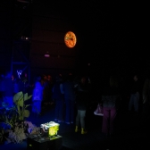 Exposición Descomponer