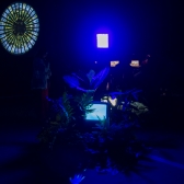 Exposición Descomponer