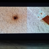 fotografía por Juanita González - montaje exposición nominada al XIII Premio Luis Caballero Anoche a la medianoche de Ricardo Muñoz Izquierdo