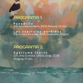 Programación CICLA 