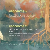 Programación CICLA 
