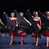 XIII GALA DE DANZA MAYOR