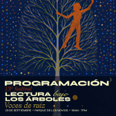 pieza programación 
