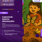 Vacaciones Recreativas - Programación 