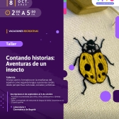 Vacaciones Recreativas - Programación 