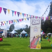 ZONAS DE ARTE Y EMPRENDIMIENTO
