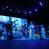 Un bosque encantando 