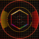 VJ Bianvisual