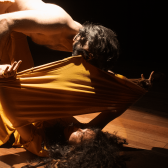 Micelio - concuerpos 4 diciembre 