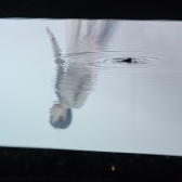 Inauguración Ningún lugar a donde ir 