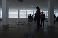 Torturas Voluntarias