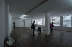 Torturas Voluntarias