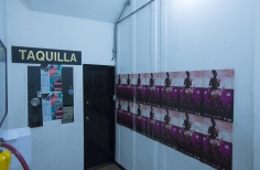 Inauguración Ciclo Rosa