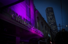 Inauguración Ciclo Rosa