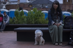 Cinemateca al Parque - Parque Bicentenario.