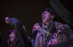 Cinemateca al Parque - Parque Bicentenario.