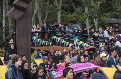 Cinemateca al Parque - Parque Bicentenario.