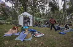 Cinemateca al Parque - Parque Bicentenario.
