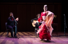 Tablao artistas internacionales