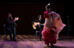 Tablao artistas internacionales