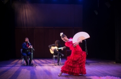 Tablao artistas internacionales