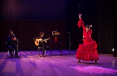 Tablao artistas internacionales