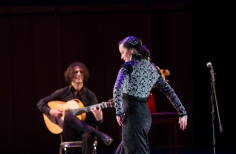 Tablao artistas internacionales