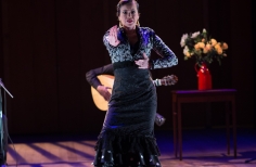 Tablao artistas internacionales