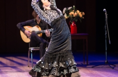 Tablao artistas internacionales