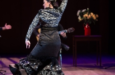 Tablao artistas internacionales