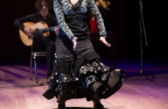 Tablao artistas internacionales