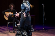 Tablao artistas internacionales