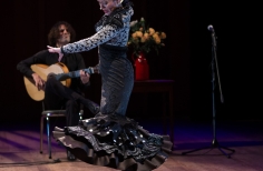 Tablao artistas internacionales