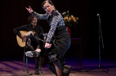 Tablao artistas internacionales