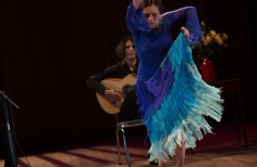 Tablao artistas internacionales