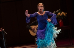 Tablao artistas internacionales