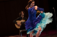 Tablao artistas internacionales