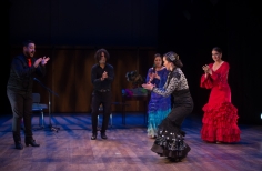 Tablao artistas internacionales