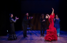 Tablao artistas internacionales