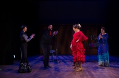 Tablao artistas internacionales