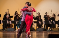 Campeonato metropolitano de Tango